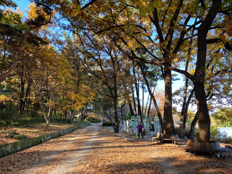마음의 안식을 찾을 수 있는 공원, 배산공원 : 네이버 블로그