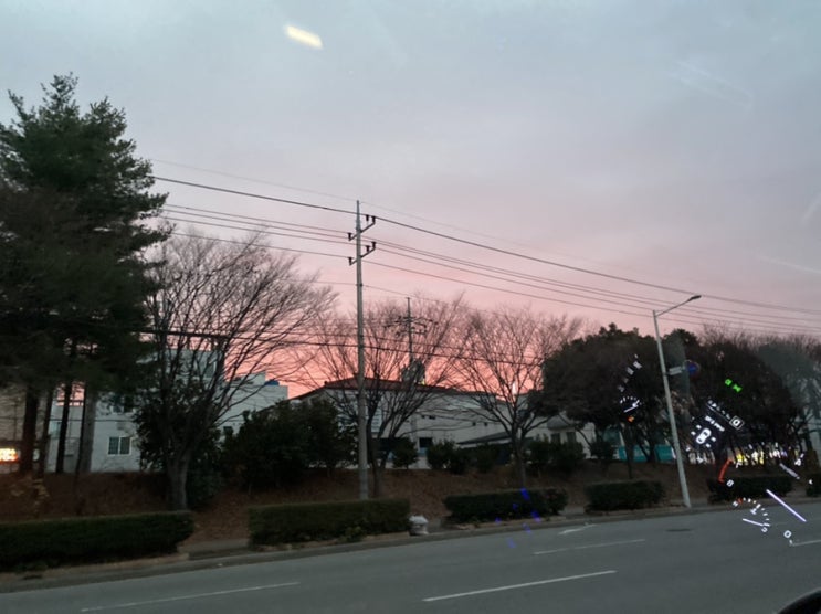  하늘한번 바라보기 쉽지않은 요즘