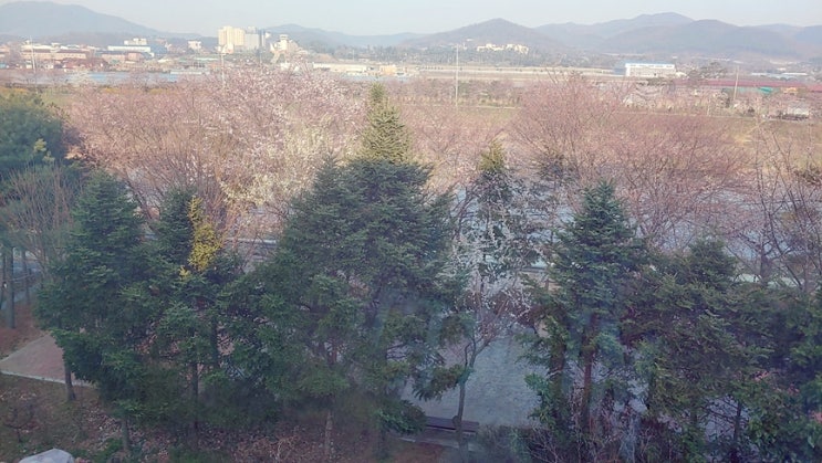 쾌한 부동산 썰 주상복합 분양 이야기 유쾌한 분양킴