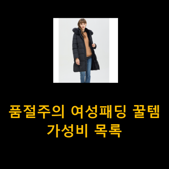 품절주의 여성패딩 꿀템 가성비 목록 품절주의 여성패딩 꿀템 가성비 목록