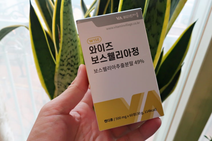  부모님영양제 비타민마을 와이즈 보스웰리아정 권해요