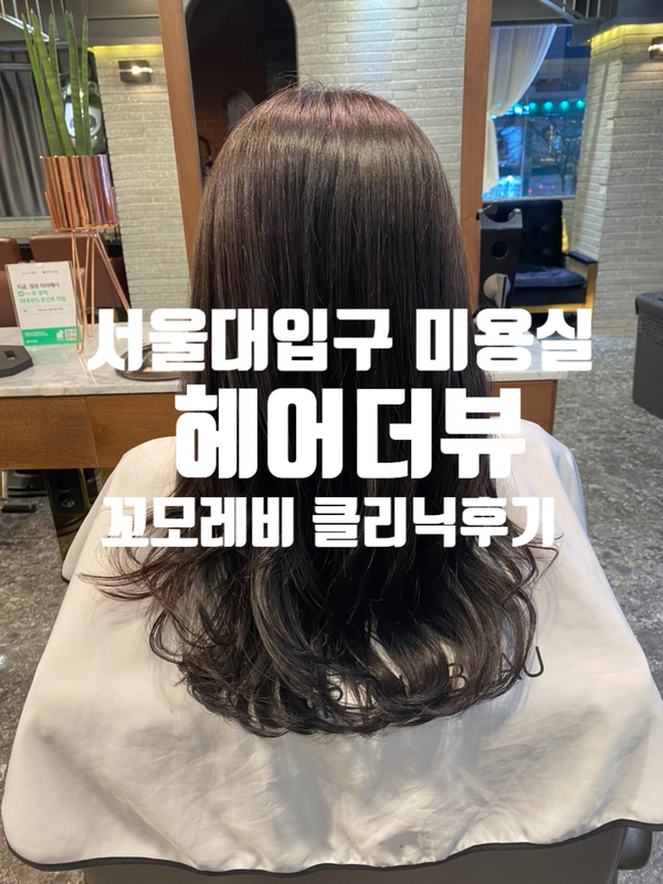 서울대입구미용실 추천 '헤어더뷰' 꼬모레비 클리닉후기 서울대입구미용실 추천 '헤어더뷰' 꼬모레비 클리닉후기