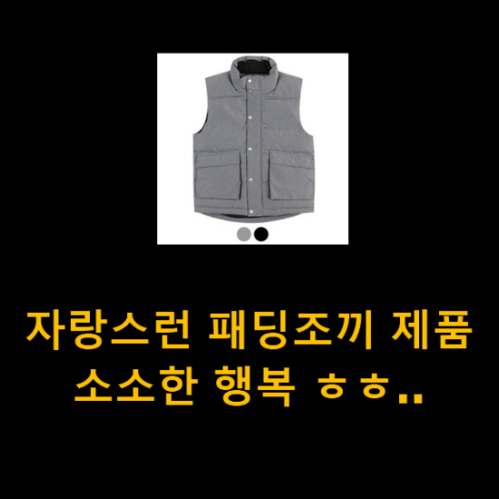 자랑스런 패딩조끼 제품 소소한 행복 ㅎㅎ.. 자랑스런 패딩조끼 제품 소소한 행복 ㅎㅎ..