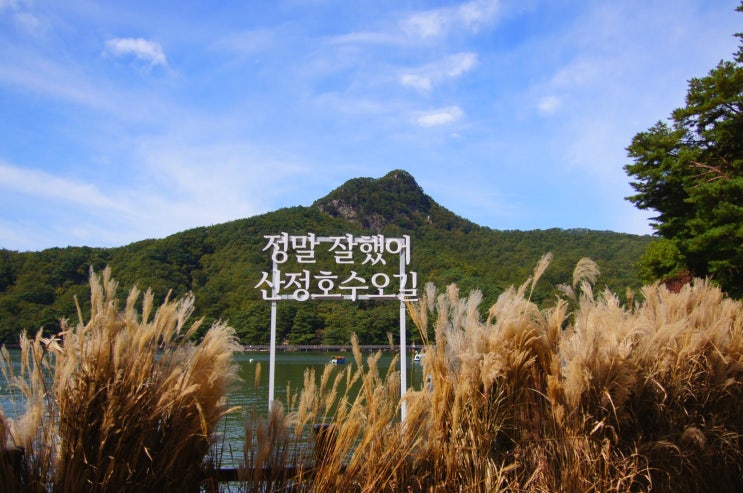  대한민국 구석구석 여행이야기:-)