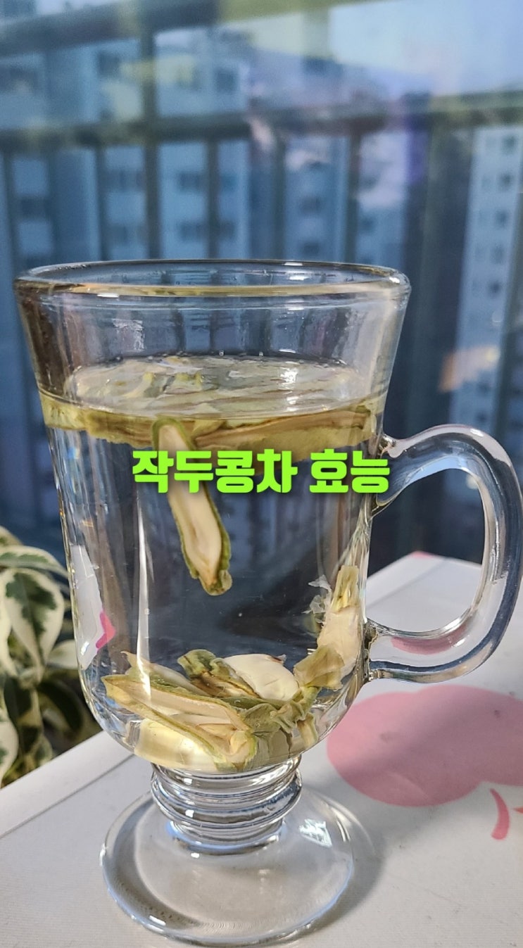 welcome 우분농장 비염 기관지염에 좋은 작두콩 차 효능