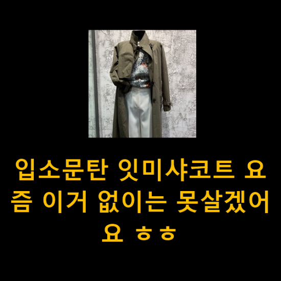 입소문탄 잇미샤코트 요즘 이거 없이는 못살겠어요 ㅎㅎ