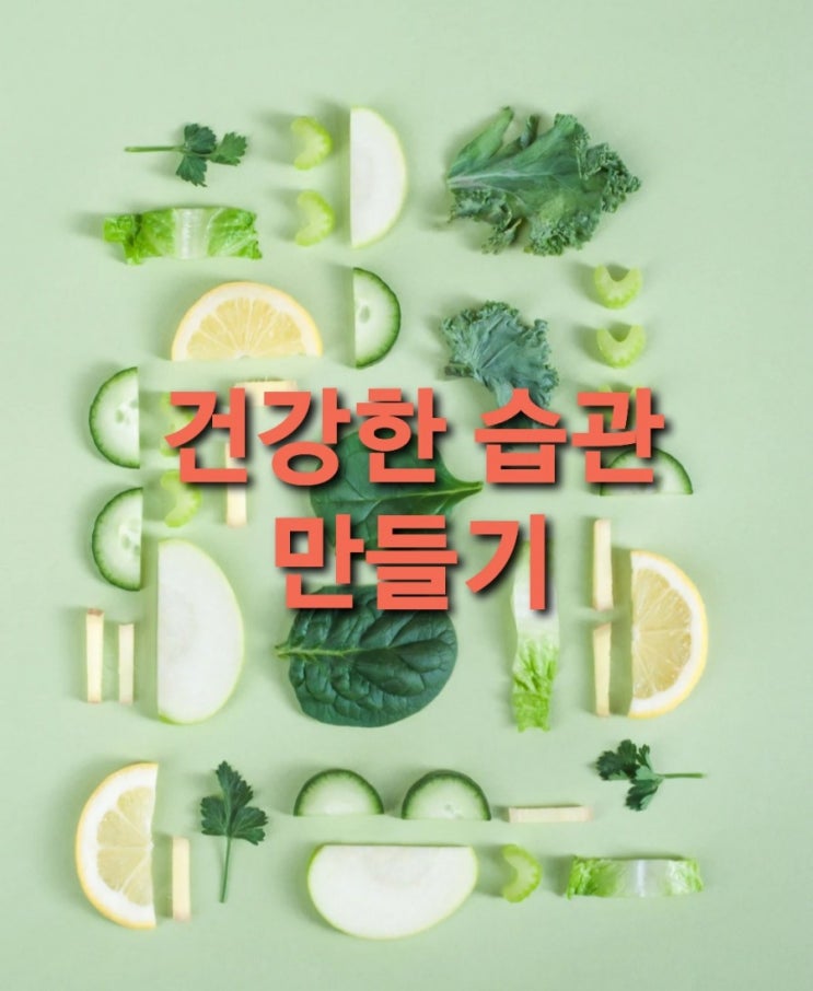  건강한 식습관 건강한 면역력