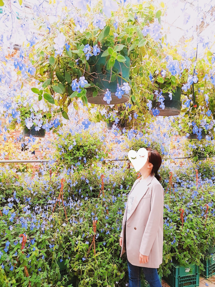  [충남 아산] 꽃샘추위가 잠시 쉬어가는 곳, "아산 세계 꽃 식물원"