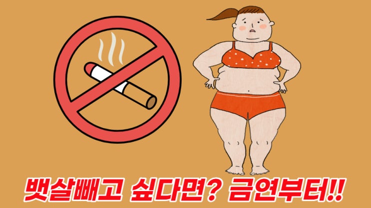  흡연이 내 뱃살 찌운다구요?(담배와 복부 비만의 관계)