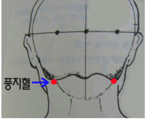  풍지혈의 놀라운 효능