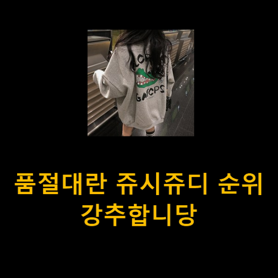 품절대란 쥬시쥬디 순위 강추합니당 품절대란 쥬시쥬디 순위 강추합니당