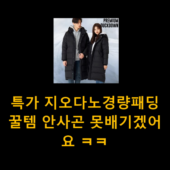 특가 지오다노경량패딩 꿀템 안사곤 못배기겠어요 ㅋㅋ