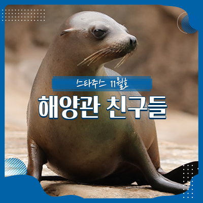 캘리포니아바다사자, 물개, <b>점박이물범 서울대공원</b> 해양관... 