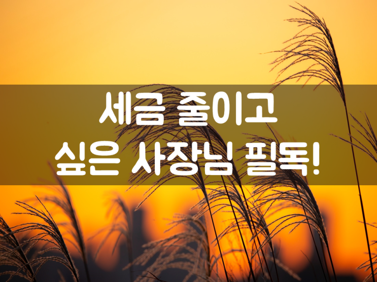  세금 줄이고 싶은 사장님 필독!