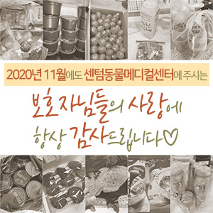  2020년 11월에도 센텀동물메디컬센터에 주시는 보호자님들의 사랑에 항상 감사드립니다 (부산 수영구 남구 연제구 분과 전문 동물병원)