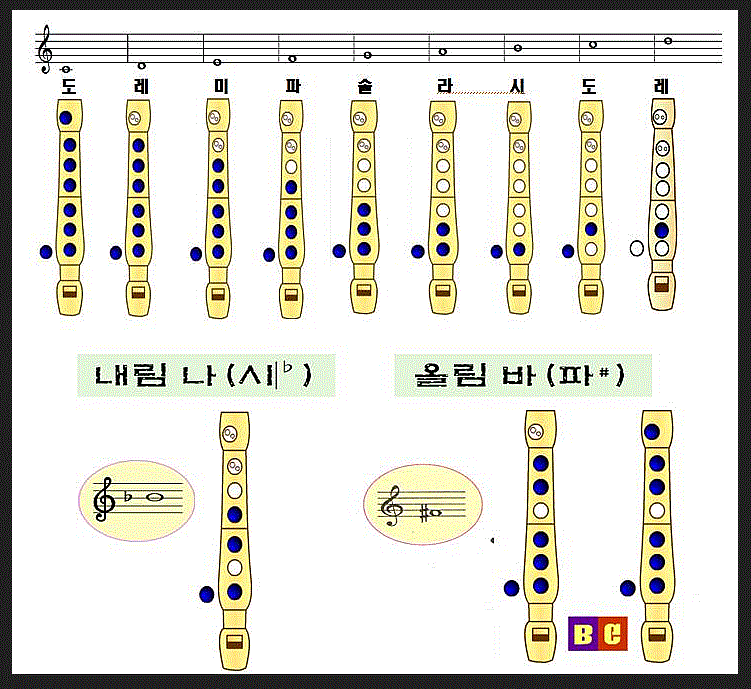 초등3,4학년 필수악기 리코더운지법 기초 익히기(리코더악보 리코더계이름)