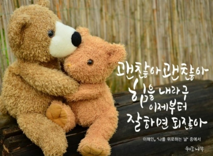  [힐링/위로송/숨어있던명곡/락발라드]노라조-형