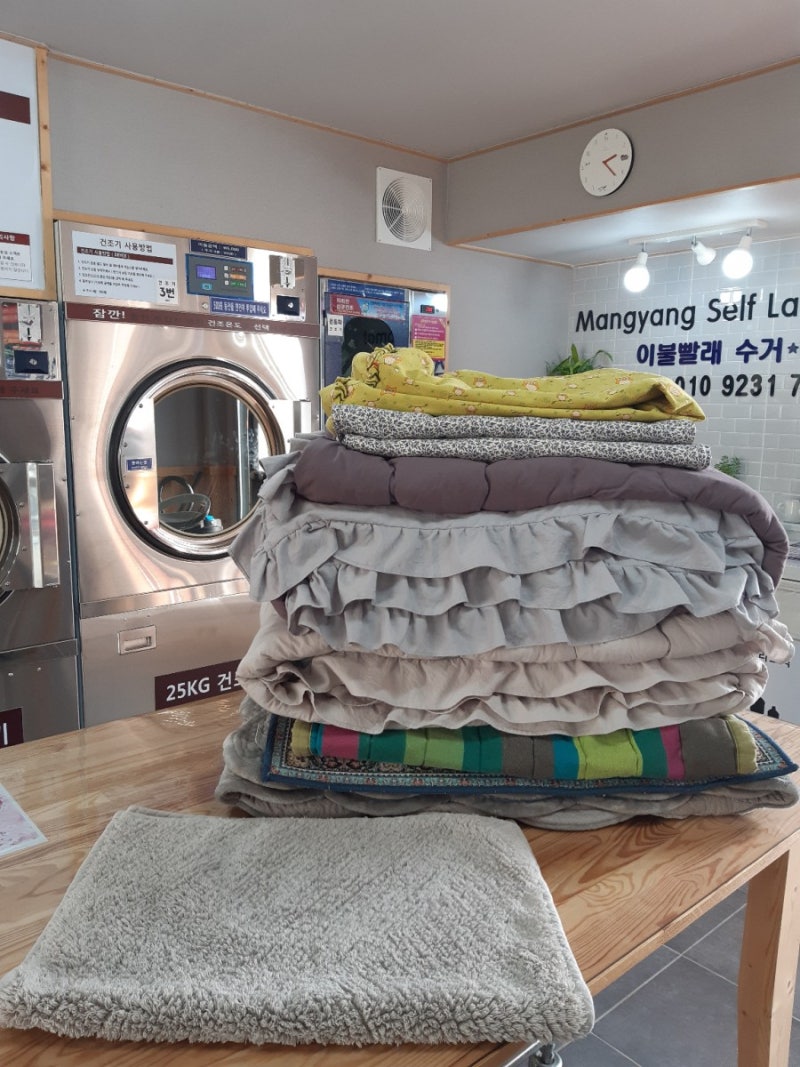 망양셀프빨래방‎ : 네이버 블로그