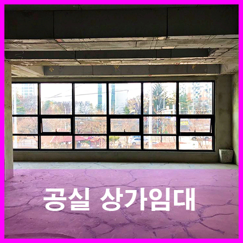  금천동상가임대 청주점포미용실 피부샵 동물병원 광고성좋은 곳