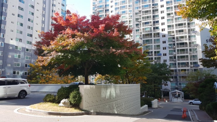  가을의 끝자락을 걸어요!