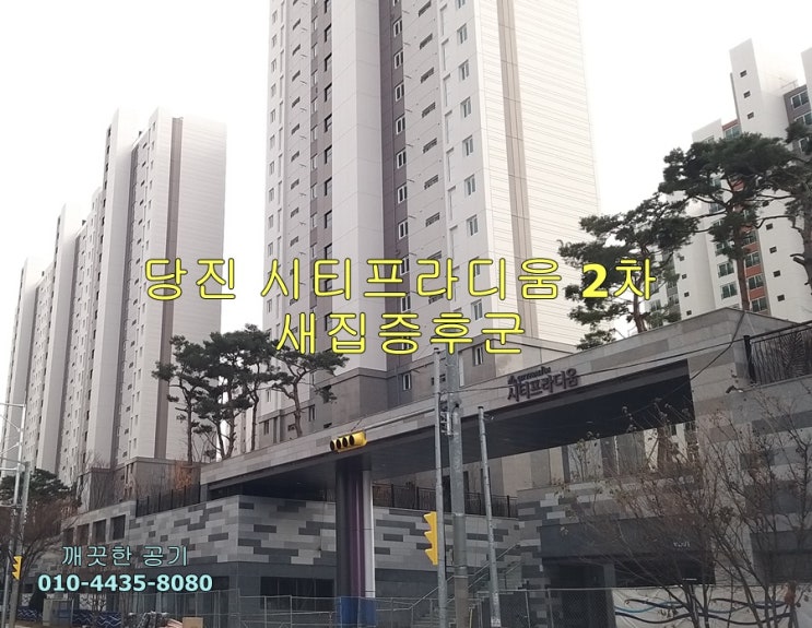  당진 수청지구 시티프라디움 2차 아파트 입주 준비 임산부, 신생아 건강 위해서 새집증후군 제거 예방 - 깨끗한 공기