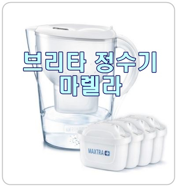  깨끗한 물, 스마트 셀프케어 [브리타정수기]
