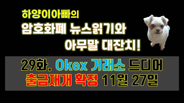  [아무말대잔치] 29화. Okex 거래소 드디어 출금재개 확정 11월 27일
