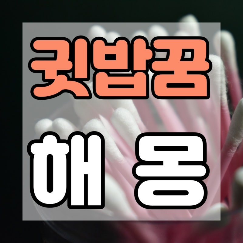 귓밥꿈 귓밥파는꿈 해몽 알아보아요