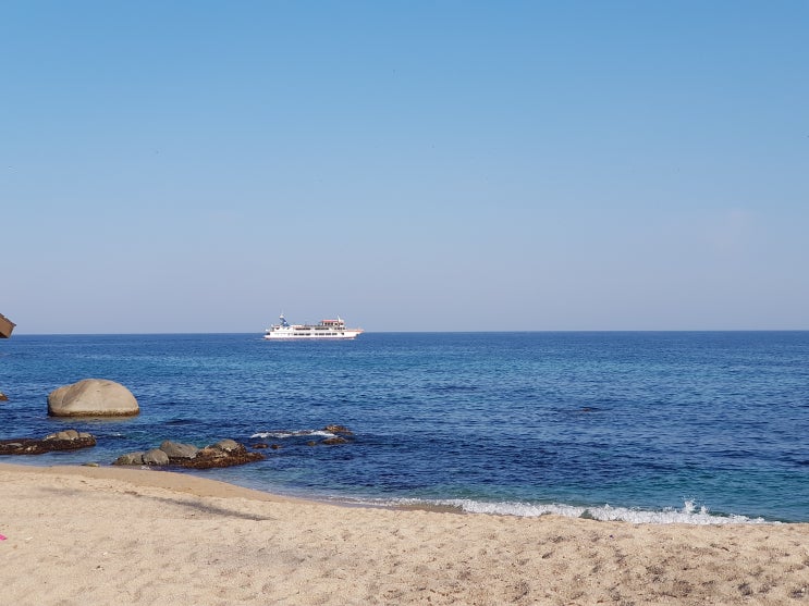  사천 솔밭 캠핑장 무료 사천해변