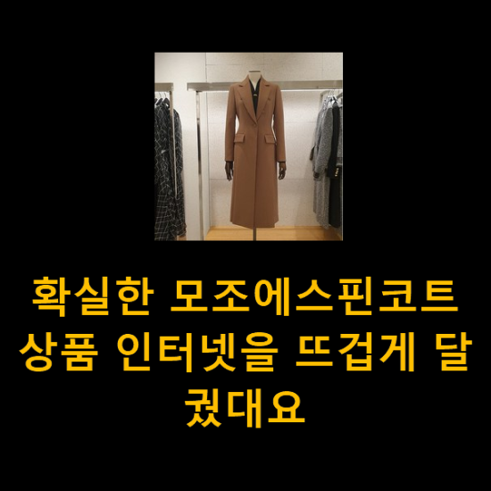 확실한 모조에스핀코트 상품 인터넷을 뜨겁게 달궜대요 확실한 모조에스핀코트 상품 인터넷을 뜨겁게 달궜대요