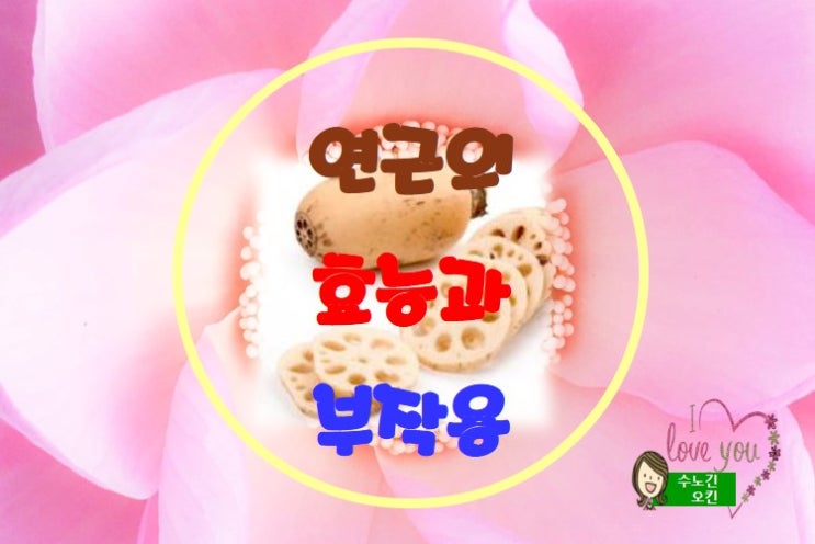  연근의 효능과 부작용 그리고 차 만드는 방법입니다