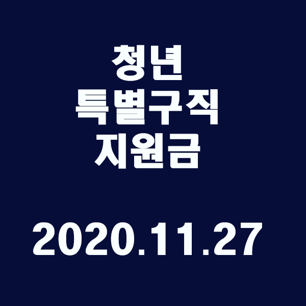 청년특별구직지원금 /2020.11.27