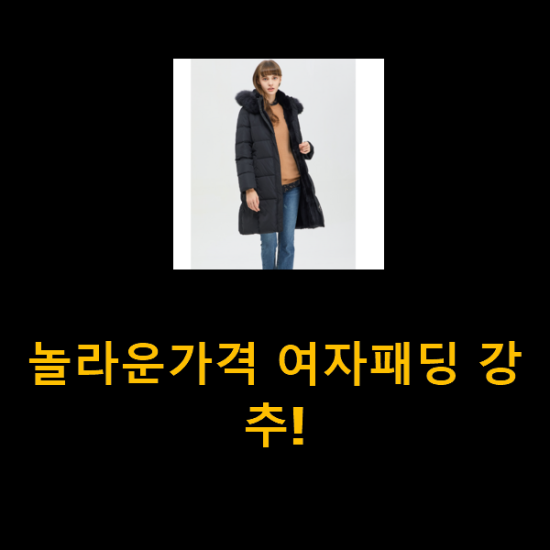 놀라운가격 여자패딩 강추! 놀라운가격 여자패딩 강추!