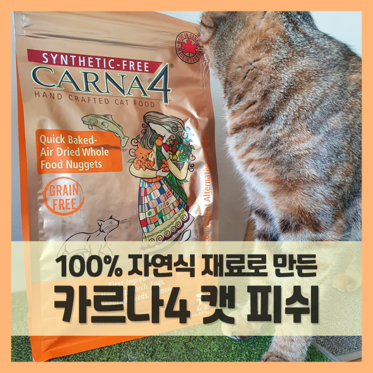  고양이사료 카르나4, 두 봉지 째도 잘 먹네