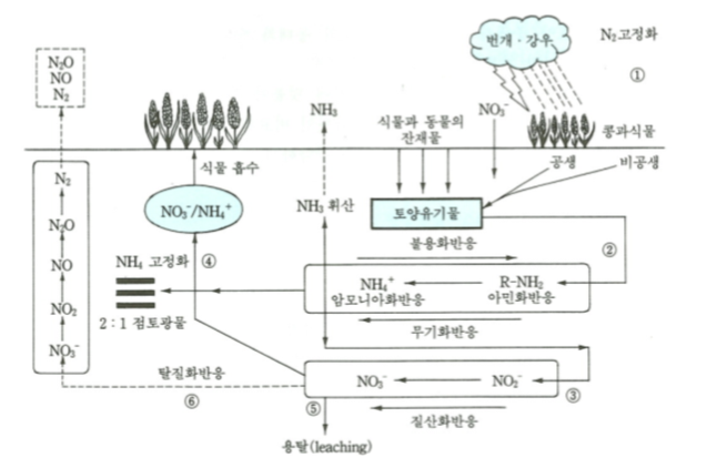 질소의 순환(= 질소 대기)이 궁금? : 네이버 블로그