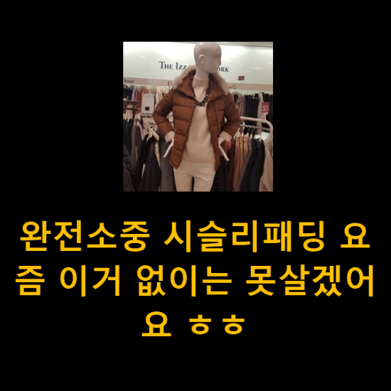 완전소중 시슬리패딩 요즘 이거 없이는 못살겠어요 ㅎㅎ 완전소중 시슬리패딩 요즘 이거 없이는 못살겠어요 ㅎㅎ