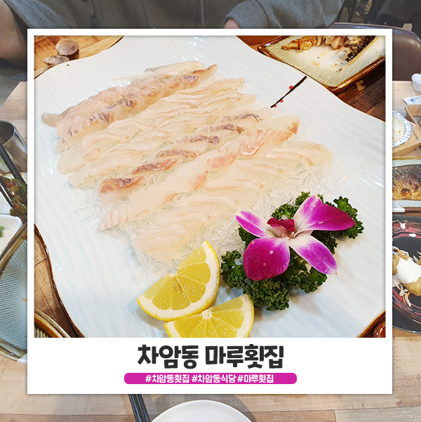 차암동 마루횟집 스끼가 잘나와요 차암동 마루횟집 스끼가 잘나와요