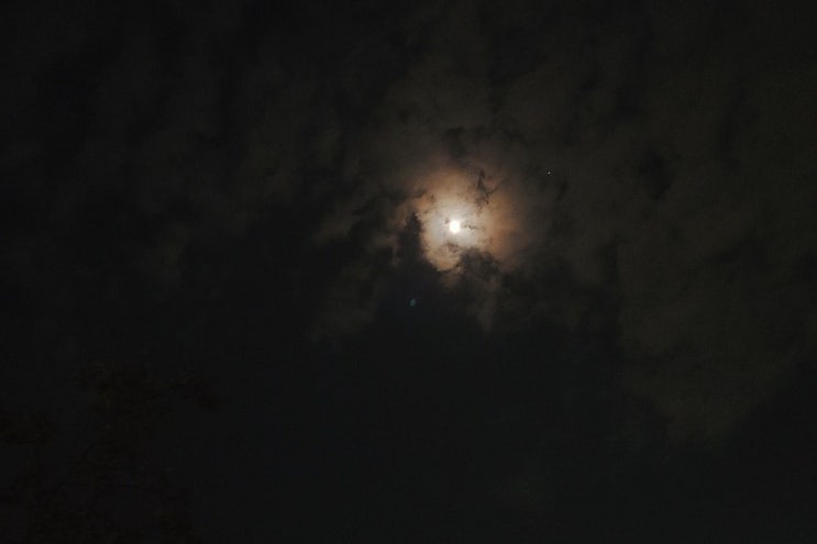  별똥별