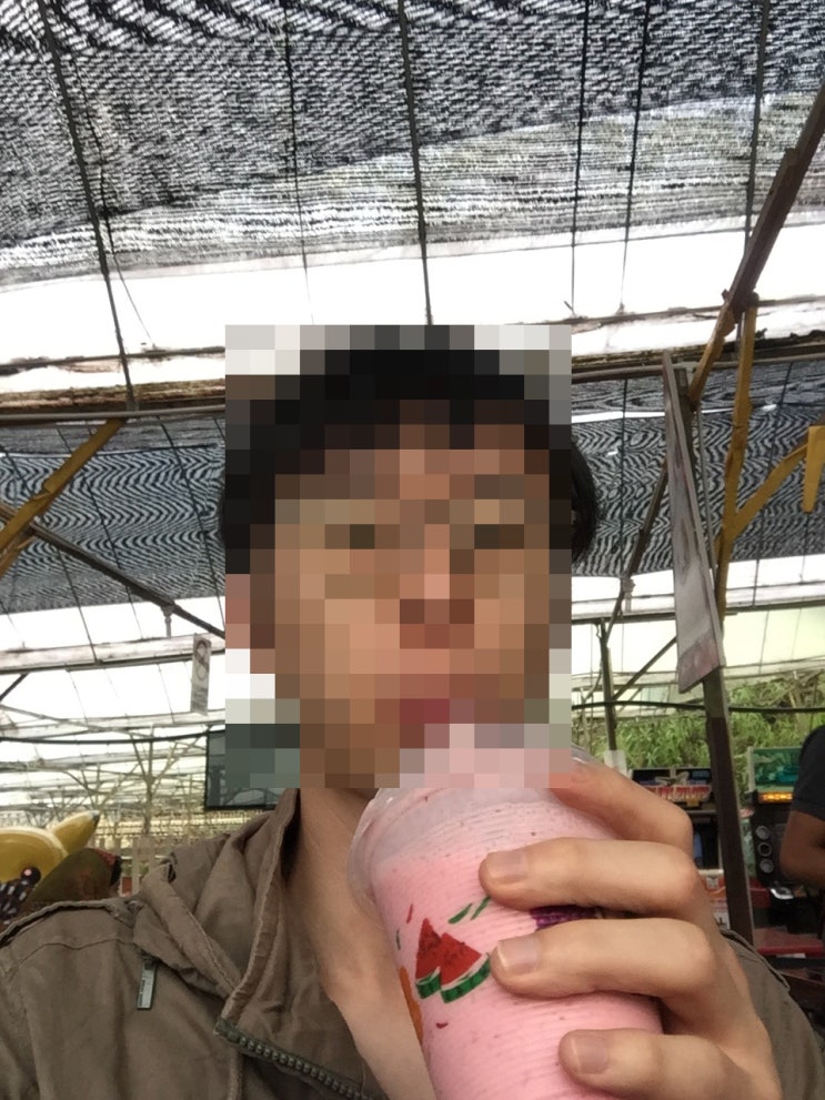 말레이시아 여행, Ipoh, 에포, 이포 (2) 딸기와 녹차 말레이시아 여행, Ipoh, 에포, 이포 (2) 딸기와 녹차