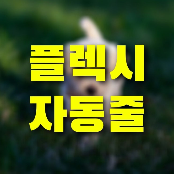  플렉시 자동줄 뉴클래식 리드줄 5년 사용 후기