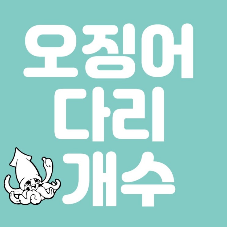  오징어 다리 개수( 문어다리 개수, 쭈꾸미 다리 개수, 낙지다리 개수)