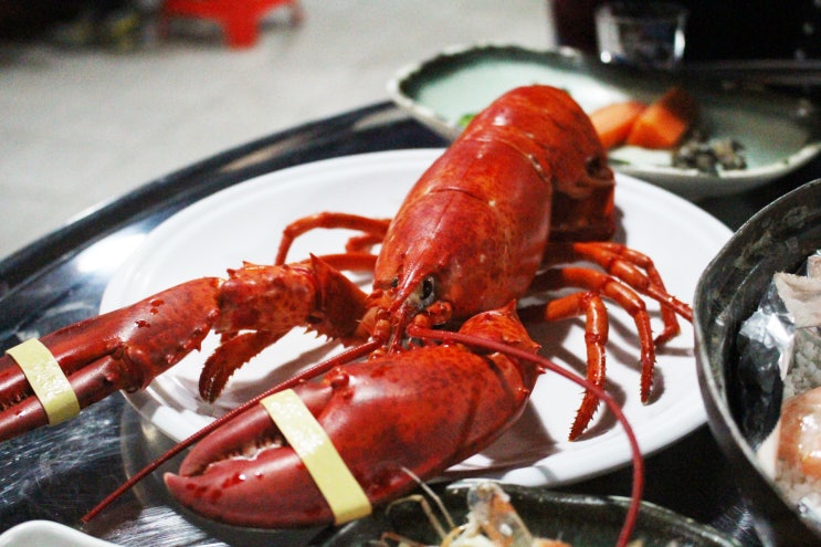  해운대 황금새우 현지인 맛집 해운대 랍스타 대하구이는 여기