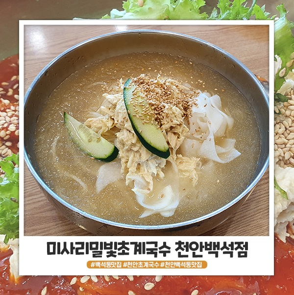 천안 초계국수 미사리밀빛이 최고시다 천안 초계국수 미사리밀빛이 최고시다