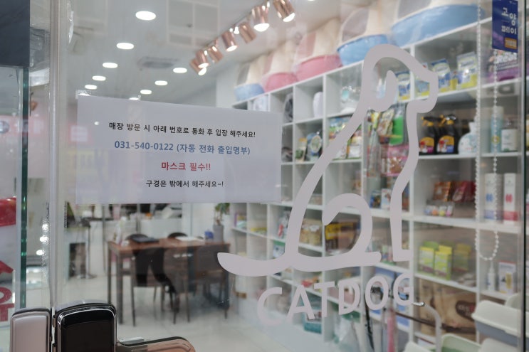  일산 강아지 분양, 강아지 분양은 캣독 일산점