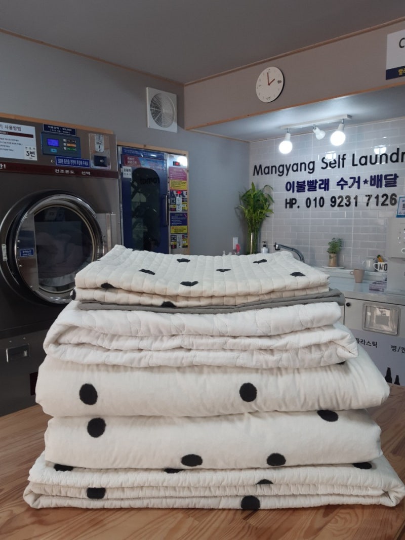 망양셀프빨래방‎ : 네이버 블로그