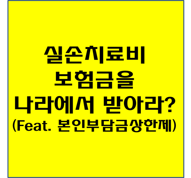 치료비보장 보험금을 나라에서 받아라? (Feat. 실손의료보험 본인부담금)