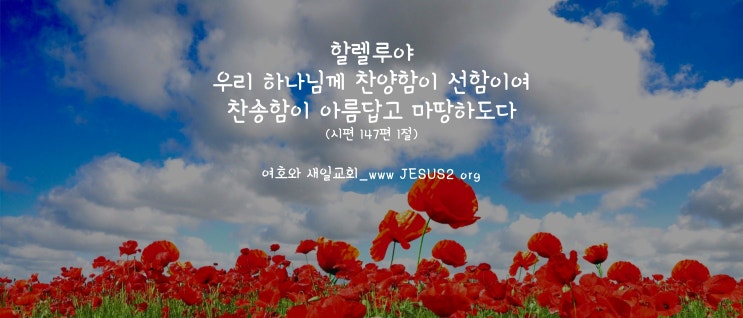 새일교회 조직신학 | 총론