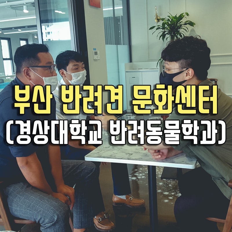 파트라슈반려견학교 부산광안리점