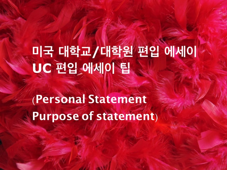  미국 대학교/대학원 입학/편입 에세이