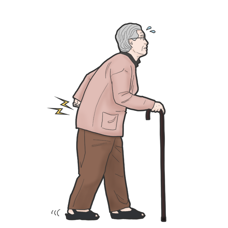 일산, 어르신들의 요통, 다리저림 - 척추관 협착증 - 가로세로 한의원 일산점